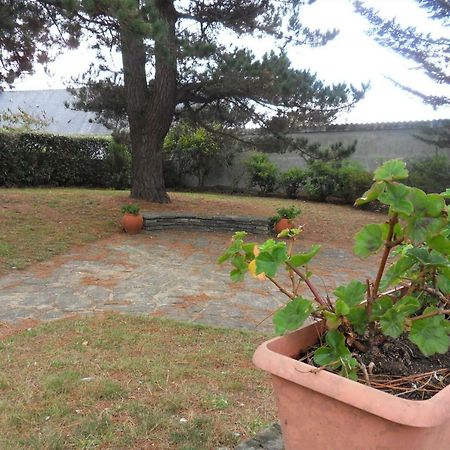 Maison 7 Personnes Avec Grand Jardin - Proche Plage - Argantel プロムール エクステリア 写真